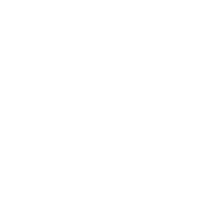 Downtown Chicago by car icon