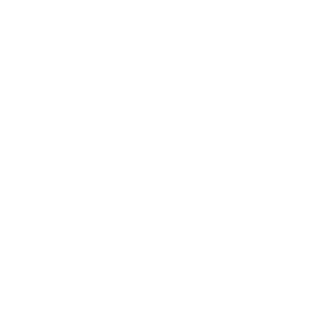 DuSable Black History Museum icon