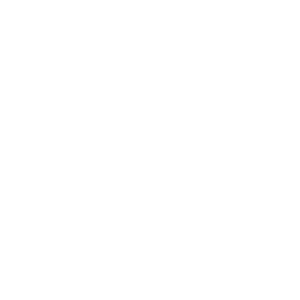 O'Hare International Airport icon