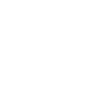 The Retro Grill icon