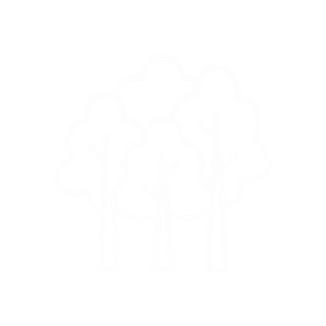 Schiller Woods icon