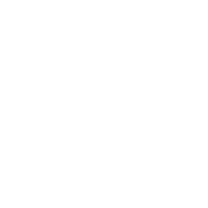 Dvorak Park icon