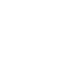 HaiSous icon