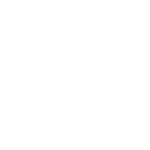 Hawthorne Race Course icon